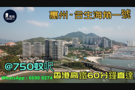 合生海角一號-惠州|首期3萬(減)|@750蚊呎|香港高鐵60分鐘直達|香港銀行按揭(實景航拍)